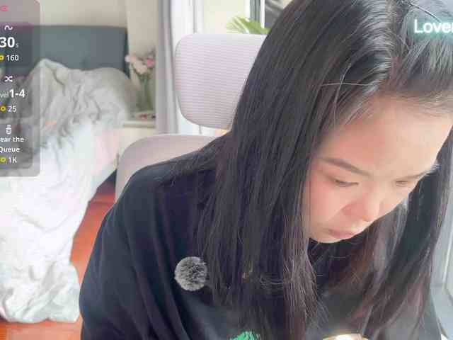 foxsusu
