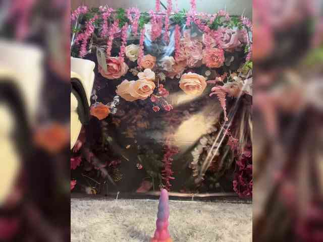 ELIZABETH-PLANET webcam