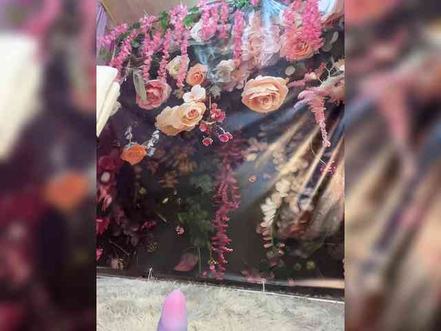 ELIZABETH-PLANET webcam