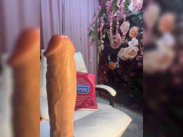 ELIZABETH-PLANET webcam