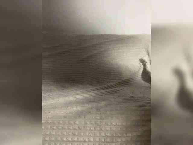 adult chatroom VacilonLime