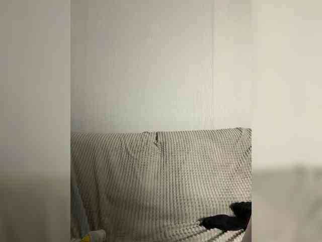 Модель: _NASSTI_