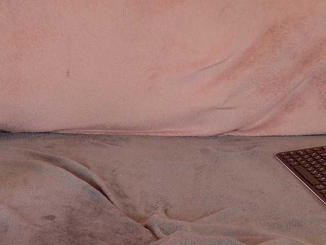 ShenRi's BongaCams profile