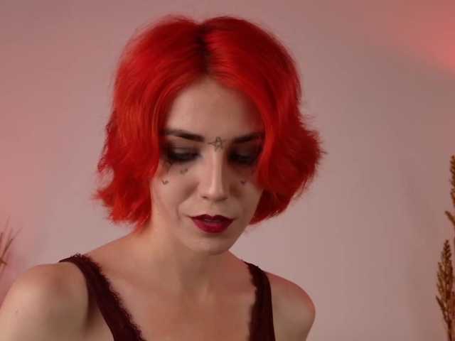 модель ShenRi