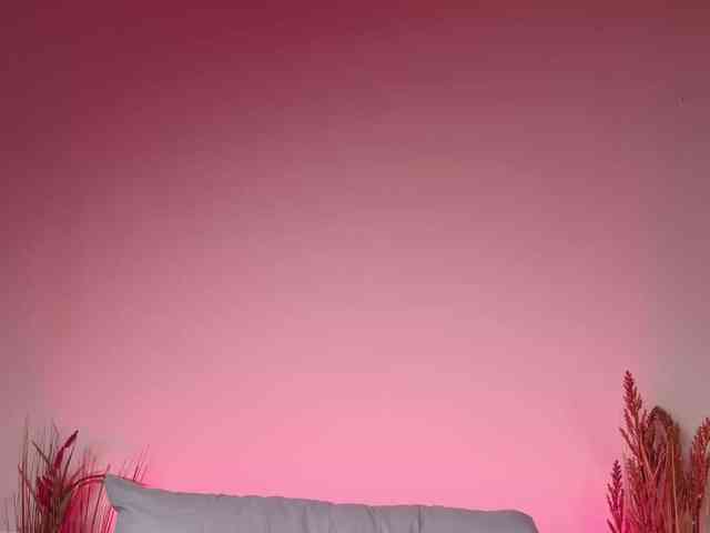 ShenRi webcam