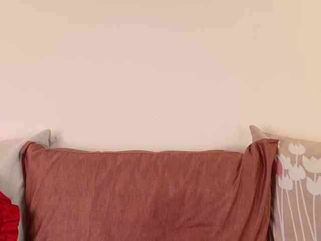 ShenRi webcam