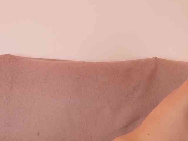 ShenRi Live Webcam on BongaCams