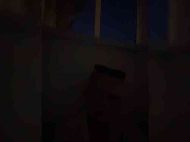 Danilovea webcam