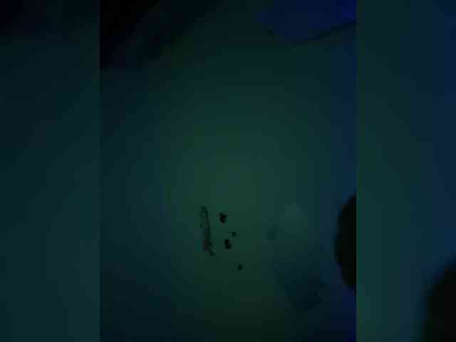 Danilovea Live Webcam on BongaCams