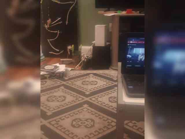 Bobbyg79 Sex Cam Show