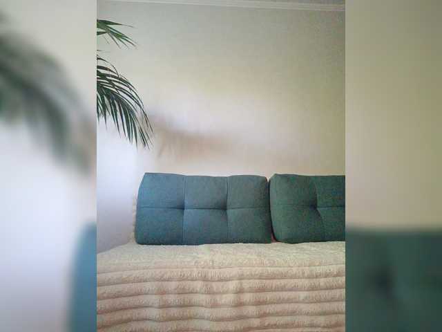 Palmyra live webcam show