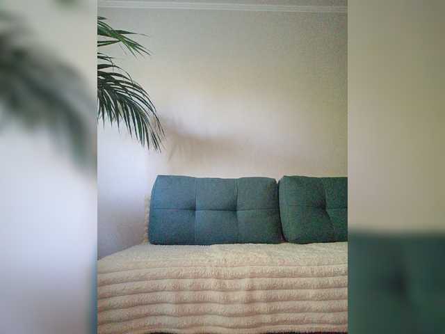Palmyra live cam