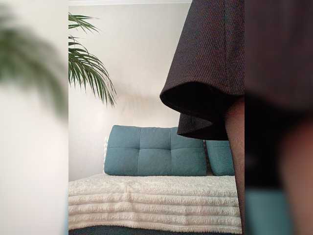 Palmyra live webcam show