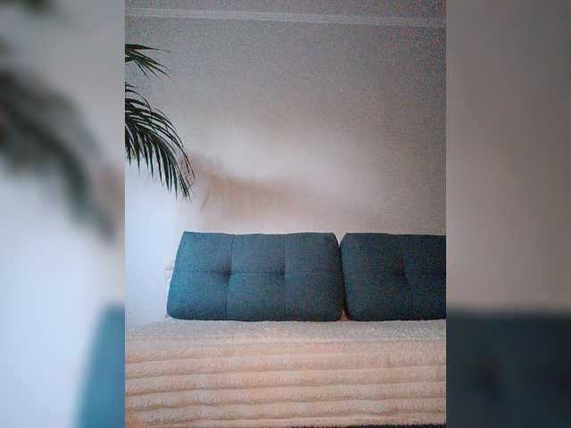 Palmyra live webcam show
