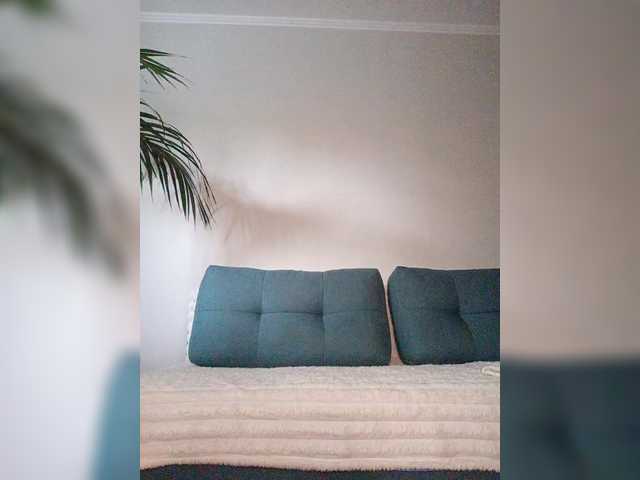 Palmyra live webcam show