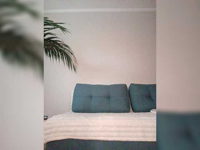 Palmyra live webcam show