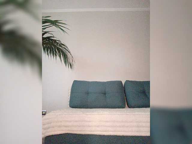 Palmyra live webcam show