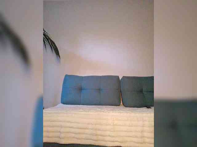 Palmyra webcam