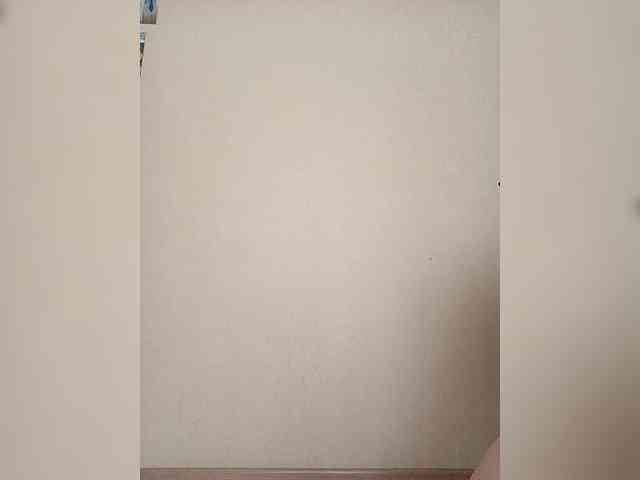 Palmyra webcam