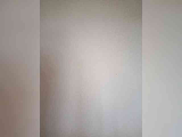 Palmyra webcam