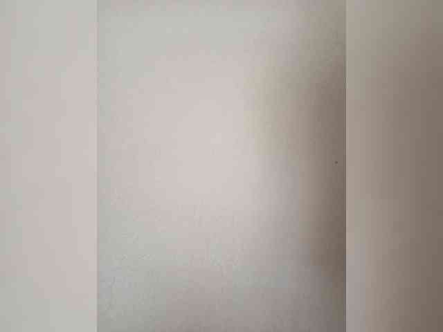 Palmyra webcam