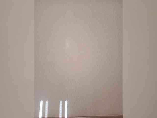 Palmyra webcam