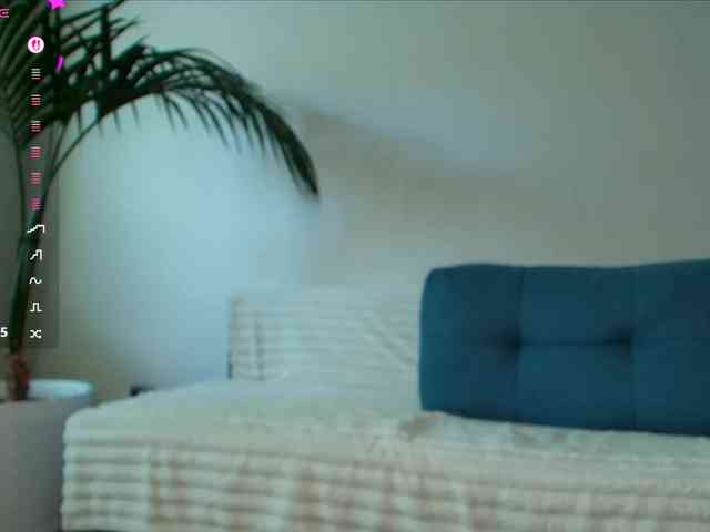 Palmyra webcam