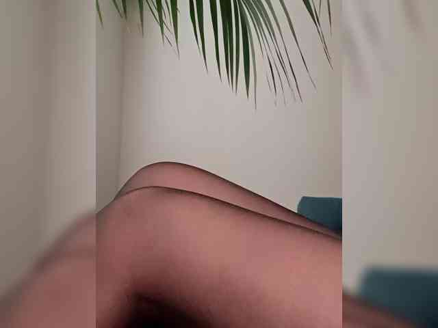 Palmyra Live Webcam on BongaCams