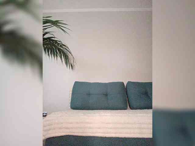 Palmyra webcam