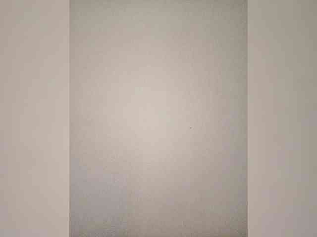 Palmyra webcam