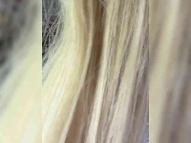 AlexaS_ webcam