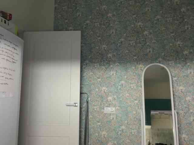 AlexaS_ webcam