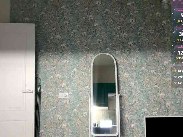 AlexaS_ webcam