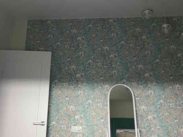 AlexaS_ webcam