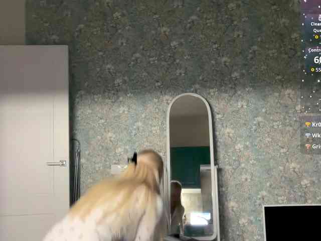 AlexaS_ webcam