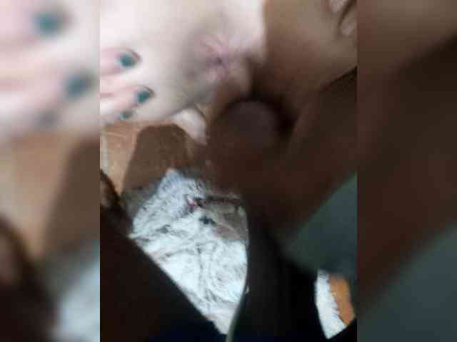 SnowAndShadow webcam