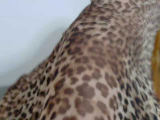 Biancka live cam on BongaCams