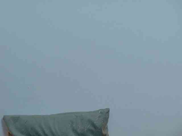 Biancka webcam