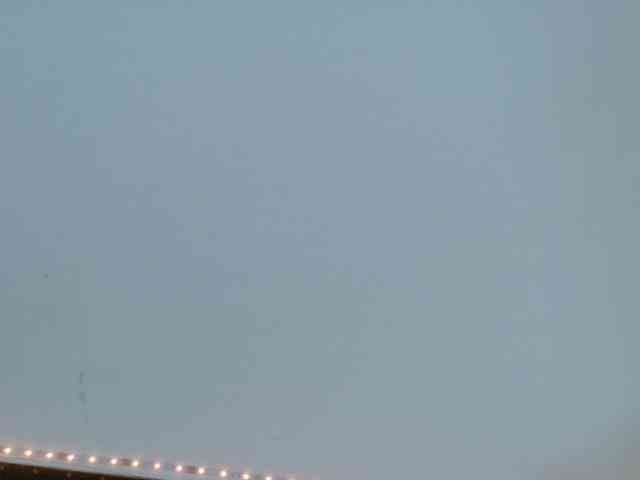 Biancka webcam