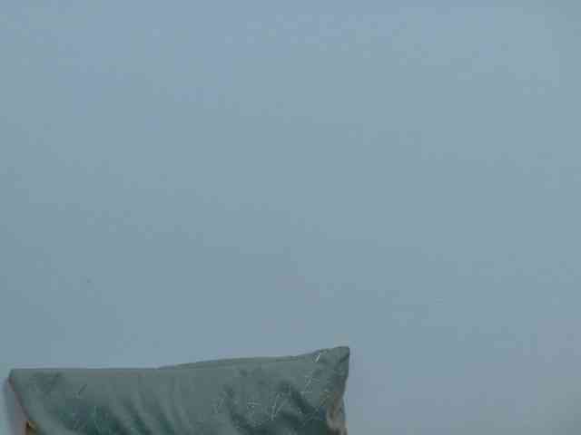 Biancka webcam