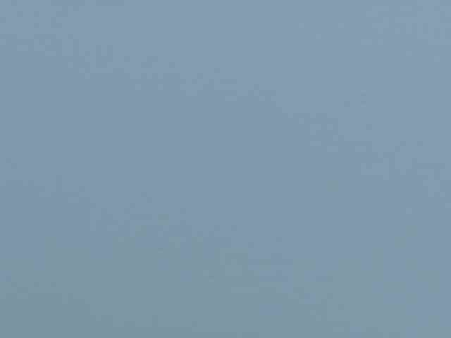 Biancka webcam