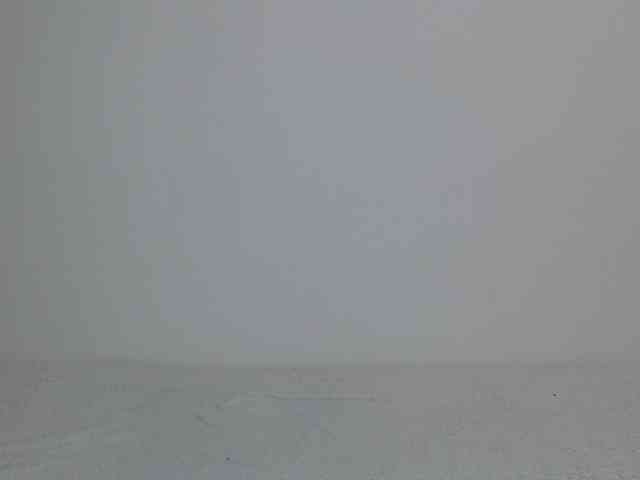 Liya_ webcam