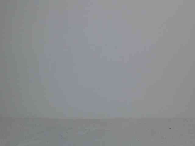 Liya_ webcam