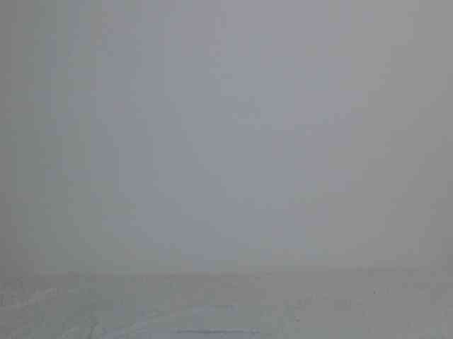 Liya_ webcam