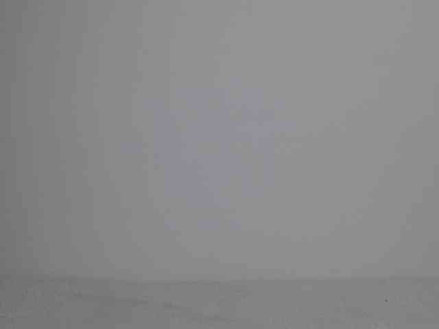 Liya_ webcam