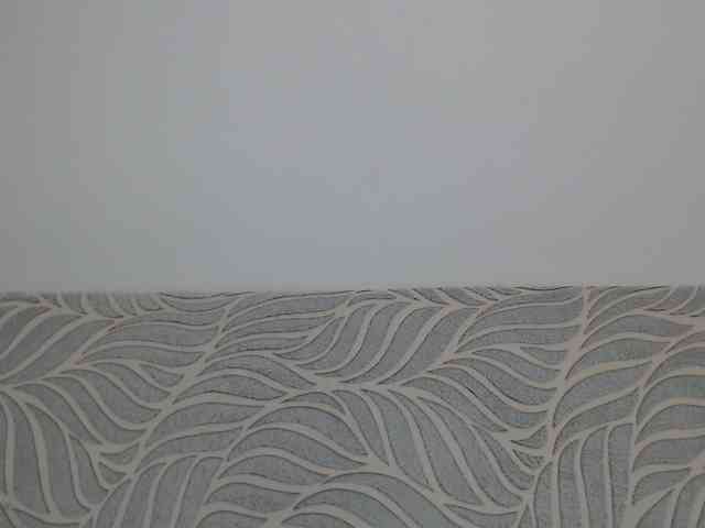 Liya_ webcam