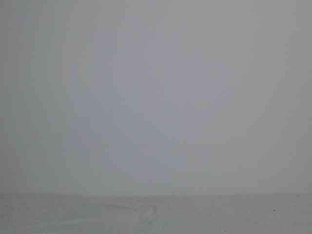 Liya_ webcam