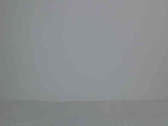 Liya_ webcam