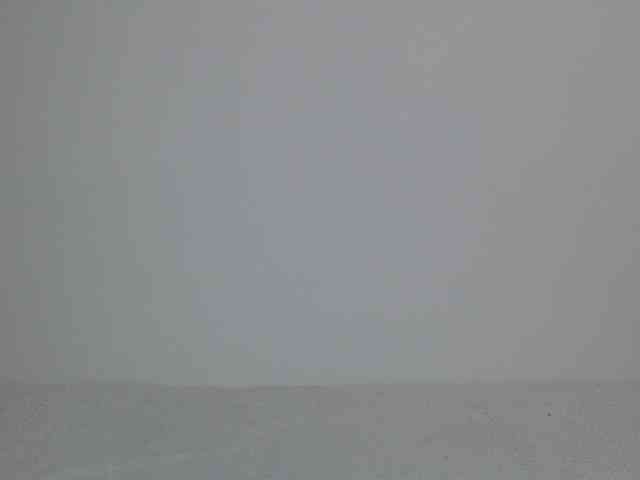 Liya_ webcam