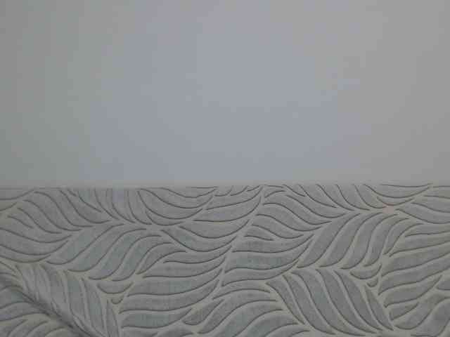 Liya_ webcam